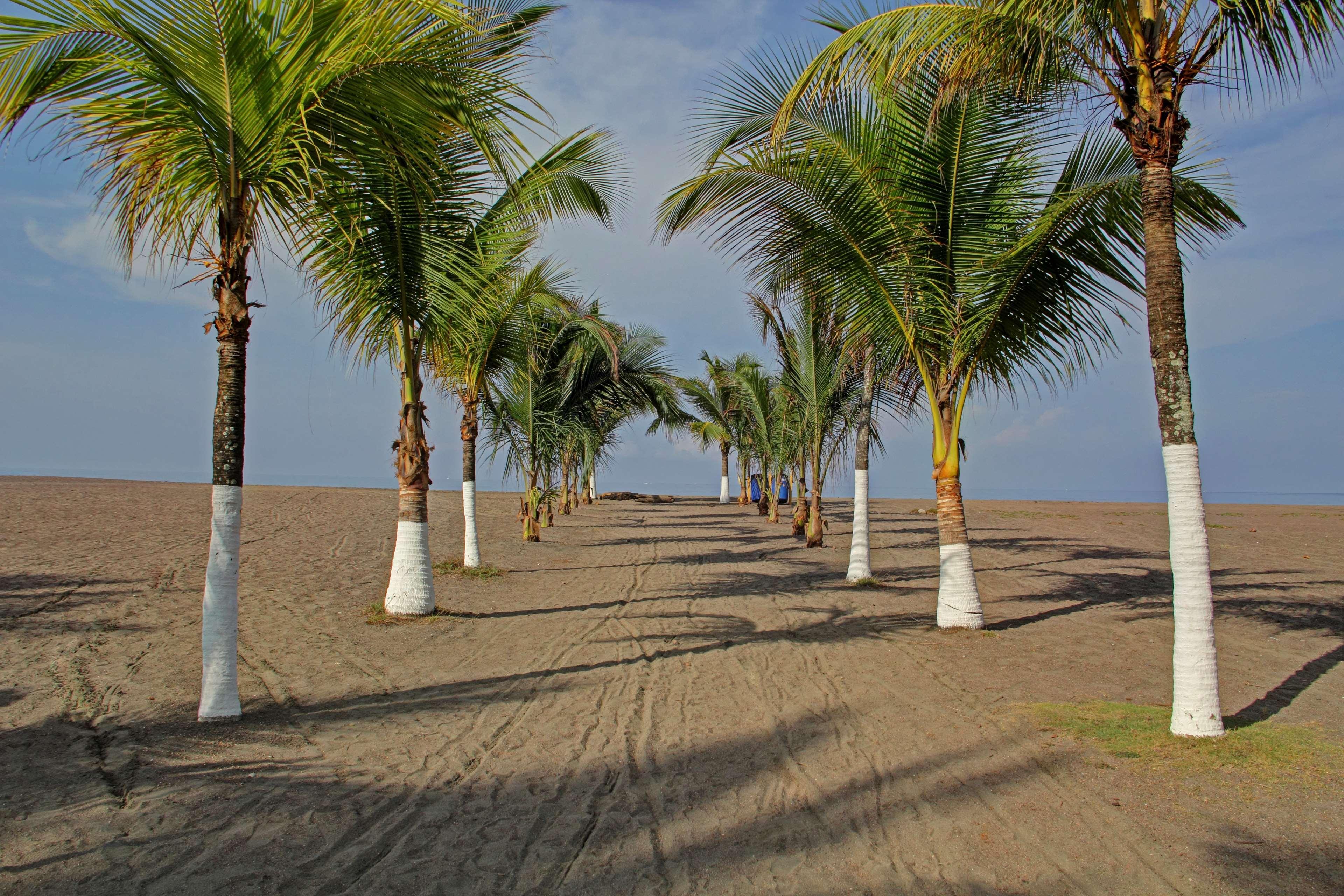 Best Western Jaco Beach All Inclusive Resort Eksteriør billede
